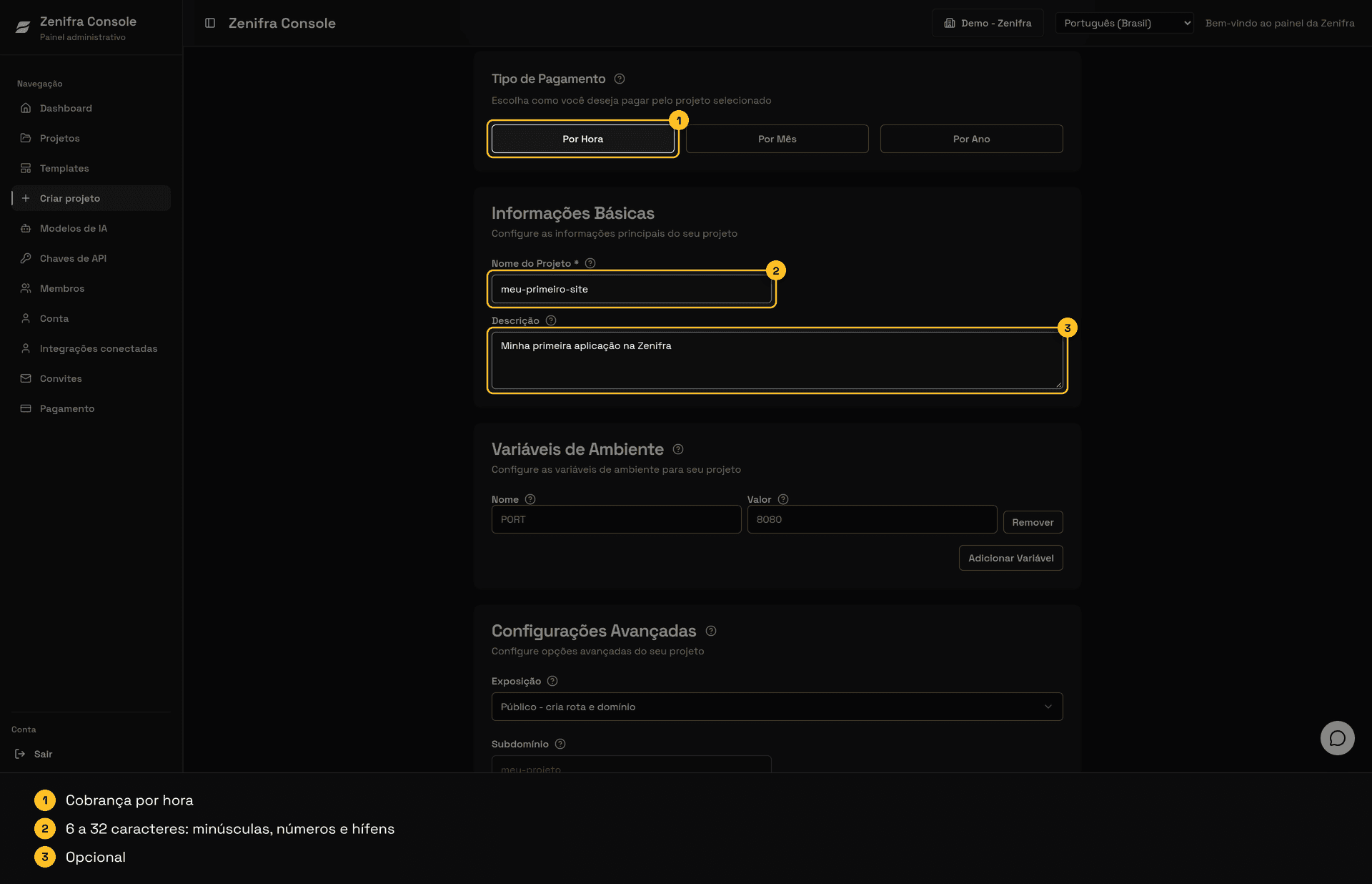 Tipo de Pagamento Por Hora e Informações Básicas com nome e descrição do projeto preenchidos